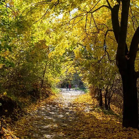 Гостевой дом Cityoasis Нове-Място-Любавске